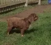 processed/b5532e8e-36a6-40e0-9840-dc4996fa709b/facility/7dbabd80-c0f9-4389-b154-4d01b93f9fd5