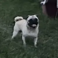 processed/b5532e8e-36a6-40e0-9840-dc4996fa709b/facility/be3411ca-7a73-4a40-aaee-7bae2ad1806f