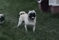 processed/b5532e8e-36a6-40e0-9840-dc4996fa709b/facility/be3411ca-7a73-4a40-aaee-7bae2ad1806f