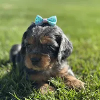 processed/b5532e8e-36a6-40e0-9840-dc4996fa709b/facility/be4297b6-e288-46fb-8a6d-62fa3d82e99d