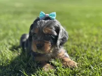 processed/b5532e8e-36a6-40e0-9840-dc4996fa709b/facility/be4297b6-e288-46fb-8a6d-62fa3d82e99d