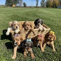 processed/b5532e8e-36a6-40e0-9840-dc4996fa709b/facility/c1c3f58b-935c-4243-9f91-1ab4acdd5823