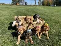 processed/b5532e8e-36a6-40e0-9840-dc4996fa709b/facility/c1c3f58b-935c-4243-9f91-1ab4acdd5823