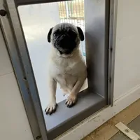 processed/b5532e8e-36a6-40e0-9840-dc4996fa709b/facility/f2c9b1ea-9ad0-42a4-8bf5-99a7244e9abe