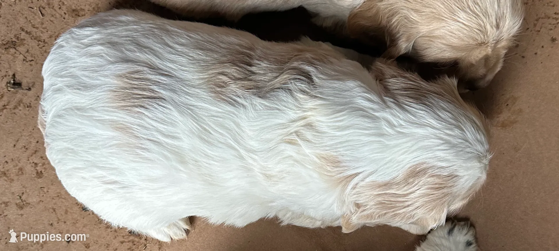 processed/b5532e8e-36a6-40e0-9840-dc4996fa709b/listing/0f2c5d50-3689-4d28-a2cd-77b9d9aa6a42/49d5b6d0-4ac8-47e2-b79f-8b5c2f2b04c1