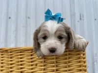 processed/b5532e8e-36a6-40e0-9840-dc4996fa709b/listing/0f2c5d50-3689-4d28-a2cd-77b9d9aa6a42/93ad6b1a-88dc-4e0d-afe6-365389557942