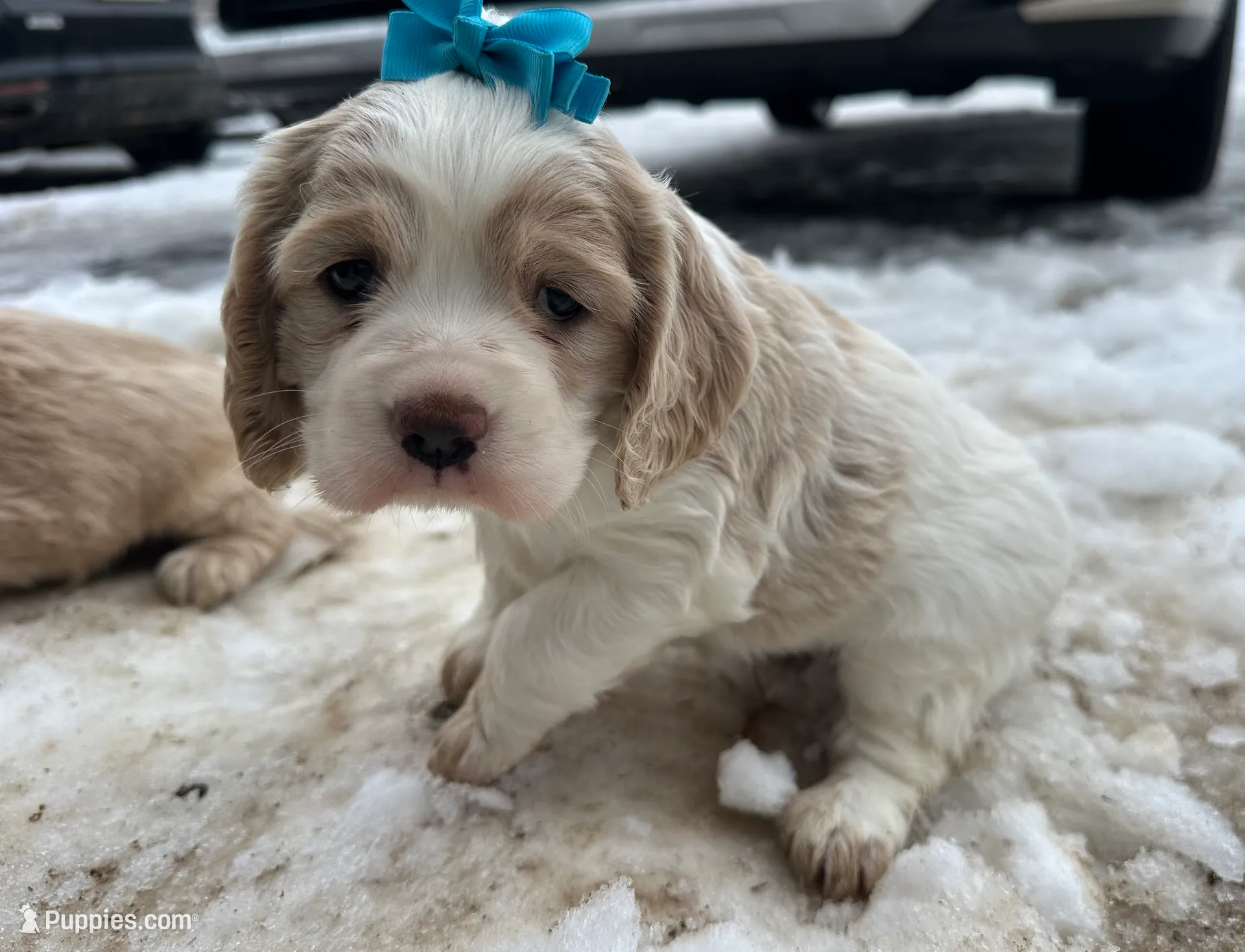 processed/b5532e8e-36a6-40e0-9840-dc4996fa709b/listing/0f2c5d50-3689-4d28-a2cd-77b9d9aa6a42/c082687e-c423-4b3a-bdbc-e49fb1dcbfc0