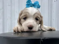 processed/b5532e8e-36a6-40e0-9840-dc4996fa709b/listing/0f2c5d50-3689-4d28-a2cd-77b9d9aa6a42/d712b01e-e69a-4542-bc60-adc6d49a5d8d