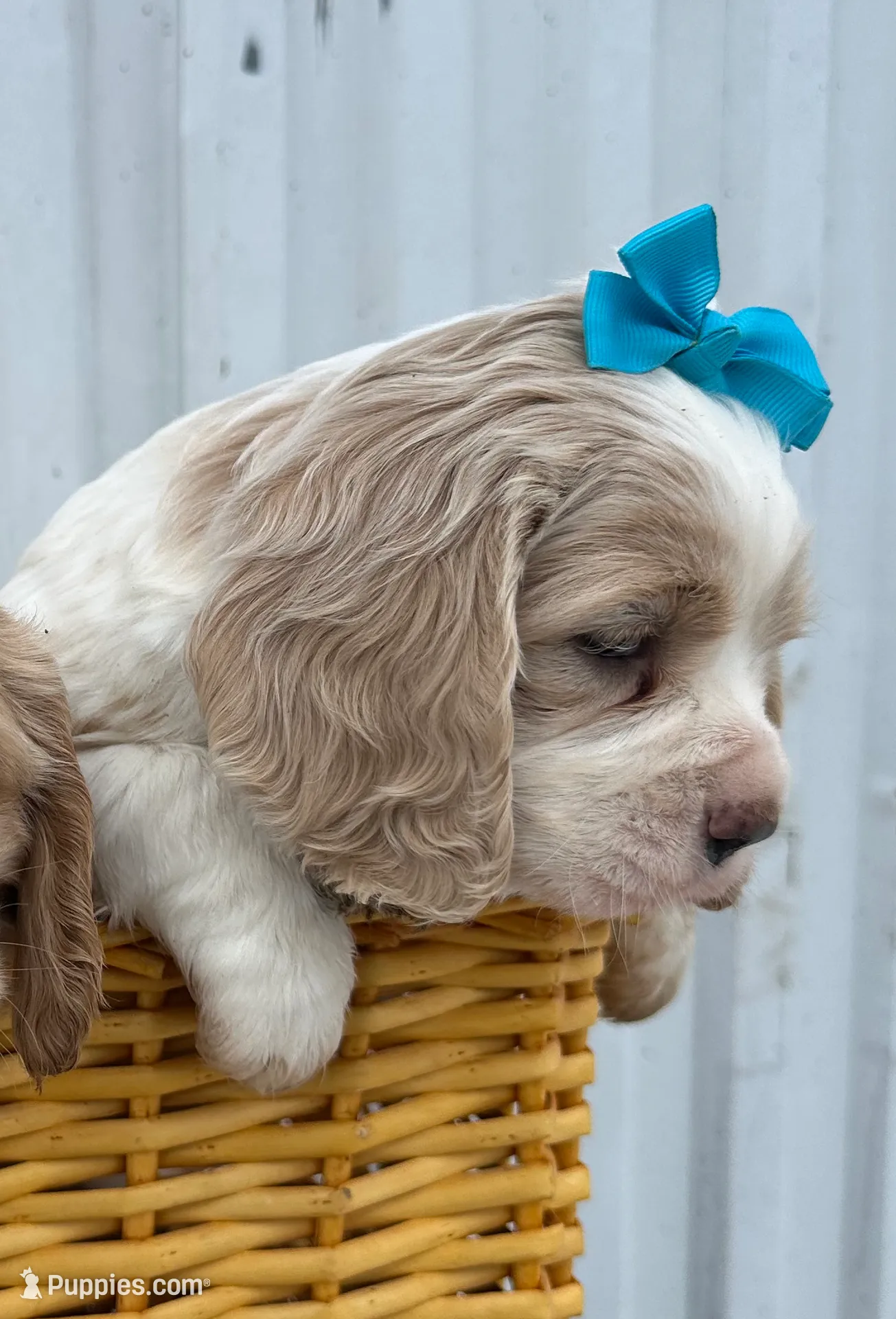 processed/b5532e8e-36a6-40e0-9840-dc4996fa709b/listing/0f2c5d50-3689-4d28-a2cd-77b9d9aa6a42/e818bc4d-6120-435c-a5ca-405e5acd555f