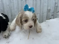 processed/b5532e8e-36a6-40e0-9840-dc4996fa709b/listing/0f2c5d50-3689-4d28-a2cd-77b9d9aa6a42/ed8b3010-2ca0-43f8-bd5e-242c6a942506