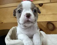 processed/b5532e8e-36a6-40e0-9840-dc4996fa709b/listing/5be3e4ff-29e3-4802-a2c1-528aa83f89c8/2f8ad48e-a615-4701-8fa9-c84fad619b25