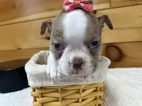 processed/b5532e8e-36a6-40e0-9840-dc4996fa709b/listing/5be3e4ff-29e3-4802-a2c1-528aa83f89c8/51ae9a66-79d2-4bc7-b4cf-f9690fbce5a9