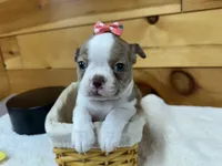 processed/b5532e8e-36a6-40e0-9840-dc4996fa709b/listing/5be3e4ff-29e3-4802-a2c1-528aa83f89c8/59c871e8-ef5d-4eea-935b-aa9729fd5c04