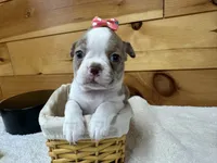 processed/b5532e8e-36a6-40e0-9840-dc4996fa709b/listing/5be3e4ff-29e3-4802-a2c1-528aa83f89c8/6bef1526-b861-4de6-b59b-9ca7e1d6ebfc