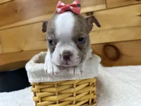 processed/b5532e8e-36a6-40e0-9840-dc4996fa709b/listing/5be3e4ff-29e3-4802-a2c1-528aa83f89c8/8bf2aa1f-4d10-47a3-add8-317a72bcd9aa