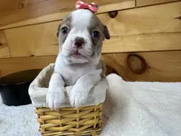 processed/b5532e8e-36a6-40e0-9840-dc4996fa709b/listing/5be3e4ff-29e3-4802-a2c1-528aa83f89c8/900274e6-0903-4079-a949-289b1d7d7b4c