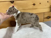 processed/b5532e8e-36a6-40e0-9840-dc4996fa709b/listing/5be3e4ff-29e3-4802-a2c1-528aa83f89c8/b5bc8206-fb79-405a-80c8-be3f1d95c795