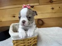 processed/b5532e8e-36a6-40e0-9840-dc4996fa709b/listing/5be3e4ff-29e3-4802-a2c1-528aa83f89c8/bf251a2b-2636-441e-8fd3-7b07a8ec0a60