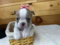 processed/b5532e8e-36a6-40e0-9840-dc4996fa709b/listing/5be3e4ff-29e3-4802-a2c1-528aa83f89c8/d3dfb953-89b0-40b1-bc60-d636d5b2eebd