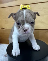 processed/b5532e8e-36a6-40e0-9840-dc4996fa709b/listing/997dd524-da16-4990-8545-48f4391a47e9/39d52c04-5b2c-41ca-8de2-6abf2c3c95ae