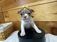 processed/b5532e8e-36a6-40e0-9840-dc4996fa709b/listing/997dd524-da16-4990-8545-48f4391a47e9/7c52e610-b700-4b98-a6f3-bf88e387e923