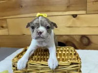 processed/b5532e8e-36a6-40e0-9840-dc4996fa709b/listing/997dd524-da16-4990-8545-48f4391a47e9/7e9fafeb-c740-40ec-9b83-19d8ba2dad6a