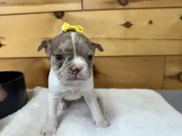 processed/b5532e8e-36a6-40e0-9840-dc4996fa709b/listing/997dd524-da16-4990-8545-48f4391a47e9/99390f64-e8ff-4316-81f6-41f143820a96