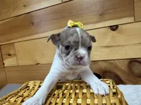 processed/b5532e8e-36a6-40e0-9840-dc4996fa709b/listing/997dd524-da16-4990-8545-48f4391a47e9/a305705e-87c5-460f-ac92-414ee7b18c3a