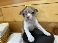 processed/b5532e8e-36a6-40e0-9840-dc4996fa709b/listing/997dd524-da16-4990-8545-48f4391a47e9/b330c61c-25f7-43b2-b770-df375254b60a