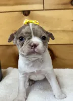 processed/b5532e8e-36a6-40e0-9840-dc4996fa709b/listing/997dd524-da16-4990-8545-48f4391a47e9/c9c7ff52-1648-4d18-8d13-7ba607c5243f