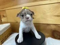 processed/b5532e8e-36a6-40e0-9840-dc4996fa709b/listing/997dd524-da16-4990-8545-48f4391a47e9/cbc11083-004e-4527-a4af-5a955142a31e