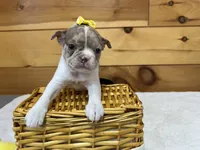 processed/b5532e8e-36a6-40e0-9840-dc4996fa709b/listing/997dd524-da16-4990-8545-48f4391a47e9/f83a4ac5-0893-4965-8868-b243d2523e96