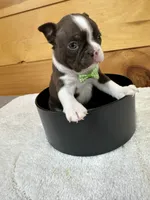 processed/b5532e8e-36a6-40e0-9840-dc4996fa709b/listing/d43f160b-b010-418c-a21a-dcafcf5067eb/2485cc93-d172-41f6-a7ef-9d37438666e3