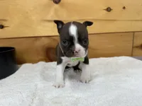 processed/b5532e8e-36a6-40e0-9840-dc4996fa709b/listing/d43f160b-b010-418c-a21a-dcafcf5067eb/265bb676-8cac-426f-9205-b28d95b5eebb