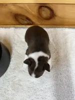 processed/b5532e8e-36a6-40e0-9840-dc4996fa709b/listing/d43f160b-b010-418c-a21a-dcafcf5067eb/50d5c374-e92a-4368-8383-54f3d5aea5b5