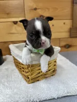 processed/b5532e8e-36a6-40e0-9840-dc4996fa709b/listing/d43f160b-b010-418c-a21a-dcafcf5067eb/66f21bcd-b02c-4e87-83e0-adb00cd87aa1