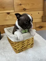 processed/b5532e8e-36a6-40e0-9840-dc4996fa709b/listing/d43f160b-b010-418c-a21a-dcafcf5067eb/693bf8bb-1e52-4d3c-8d98-5cae50bbb8e9