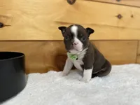 processed/b5532e8e-36a6-40e0-9840-dc4996fa709b/listing/d43f160b-b010-418c-a21a-dcafcf5067eb/ae7168a3-a630-432e-ae4c-bf98e5f8977a