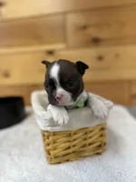 processed/b5532e8e-36a6-40e0-9840-dc4996fa709b/listing/d43f160b-b010-418c-a21a-dcafcf5067eb/e4741fdc-8aed-4538-9e76-fec9bb8cb62f