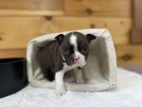 processed/b5532e8e-36a6-40e0-9840-dc4996fa709b/listing/d43f160b-b010-418c-a21a-dcafcf5067eb/f99be482-e881-45b7-9a5a-c5f3c19376ce