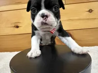 processed/b5532e8e-36a6-40e0-9840-dc4996fa709b/listing/e948e383-7234-4e67-bb39-86cef1e79f01/3e8a7fc3-55b6-49be-a552-1b72c9973ad9