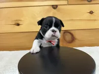 processed/b5532e8e-36a6-40e0-9840-dc4996fa709b/listing/e948e383-7234-4e67-bb39-86cef1e79f01/4c2cd38e-8984-48bf-9adb-83c6bba576c1