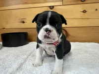 processed/b5532e8e-36a6-40e0-9840-dc4996fa709b/listing/e948e383-7234-4e67-bb39-86cef1e79f01/6ac8c276-d404-40f7-b413-5ac8111e8003