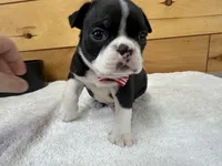 processed/b5532e8e-36a6-40e0-9840-dc4996fa709b/listing/e948e383-7234-4e67-bb39-86cef1e79f01/7d2916d3-1541-4ccb-836e-ef0a4b7532e6