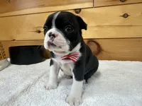 processed/b5532e8e-36a6-40e0-9840-dc4996fa709b/listing/e948e383-7234-4e67-bb39-86cef1e79f01/8627f3d3-663e-4908-9afd-07770ab1442b