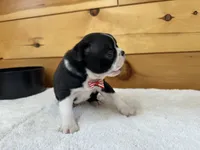 processed/b5532e8e-36a6-40e0-9840-dc4996fa709b/listing/e948e383-7234-4e67-bb39-86cef1e79f01/b932a827-2880-4707-97a4-d9c633199f0d