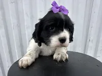 processed/b5532e8e-36a6-40e0-9840-dc4996fa709b/listing/ed5caf4d-0734-4f47-8ee8-fb8b3ac48538/4bcabc40-868c-470c-a60b-5923738d64b9