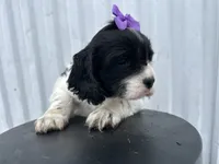 processed/b5532e8e-36a6-40e0-9840-dc4996fa709b/listing/ed5caf4d-0734-4f47-8ee8-fb8b3ac48538/60e0ffe9-55e2-4057-b6e6-ffd0918c8496