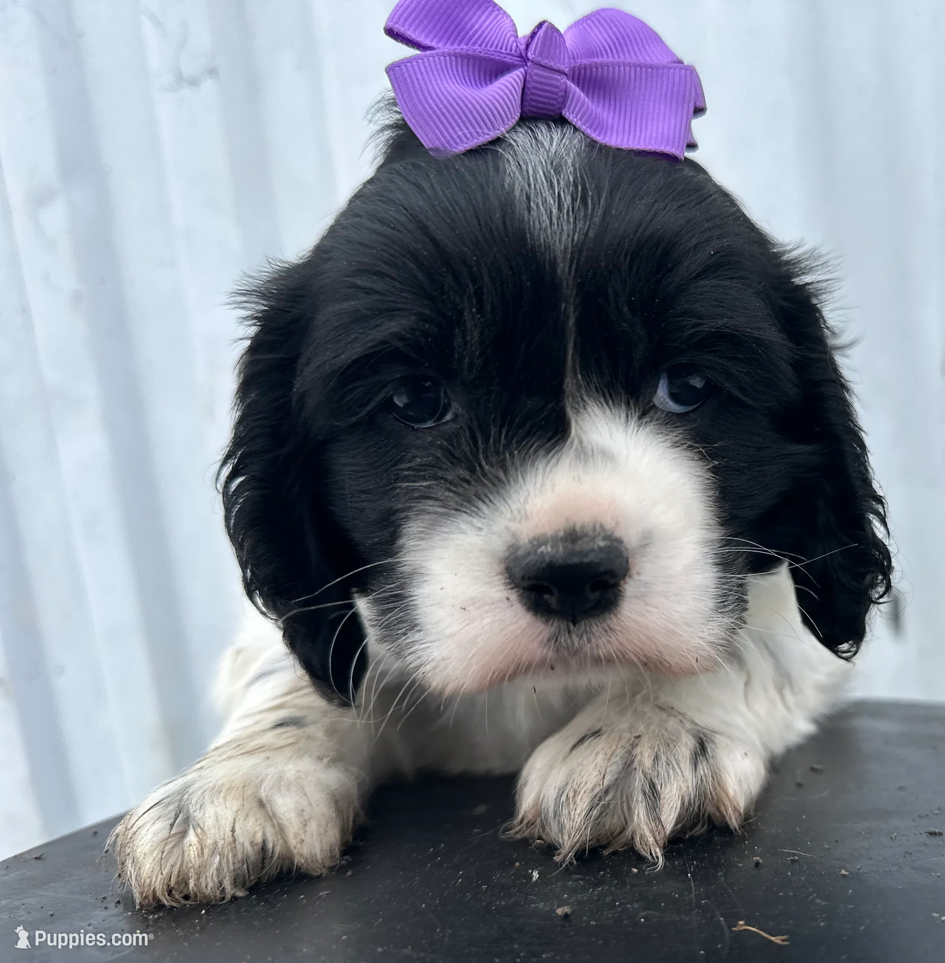 processed/b5532e8e-36a6-40e0-9840-dc4996fa709b/listing/ed5caf4d-0734-4f47-8ee8-fb8b3ac48538/788edda4-ecd4-4598-97ae-adf875561769