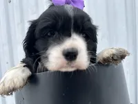 processed/b5532e8e-36a6-40e0-9840-dc4996fa709b/listing/ed5caf4d-0734-4f47-8ee8-fb8b3ac48538/abe71487-7720-4709-9e39-46e179561db3